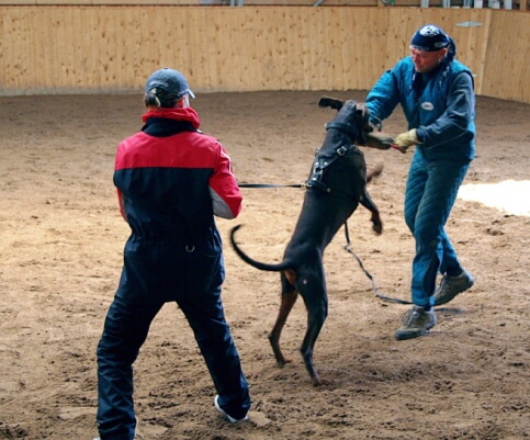 Training in Finland 6.4. - 9.4. 2007